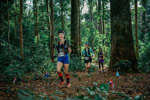 BIB: 
                            <button type="button" onclick="openModal(26100066)" class="btn btn-primary btn-sm float-right btn-popup" data-toggle="modal" data-target=".modal-high-quality">
                        <i class="fas fa-shopping-cart"></i> Add to Cart
                    </button>
                                            <button type="button" onclick="isThisMe(26100066, true)" class="btn btn-success btn-sm float-right btn-popup btn-isme hidden" data-toggle="tooltip" data-placement="bottom" title="นี่คือรูปของคุณใช่ไหม คลิกที่นี่เพื่อเอาเข้าอัลบั้ม">
                        <i class="fas fa-plus"></i> Add to album
                    </button>
                    <button type="button" onclick="isThisMe(26100066, false)" class="btn btn-warning btn-sm float-right btn-popup btn-isnotme hidden">
                        <i class="fas fa-ban"></i> Remove from album
                    </button>